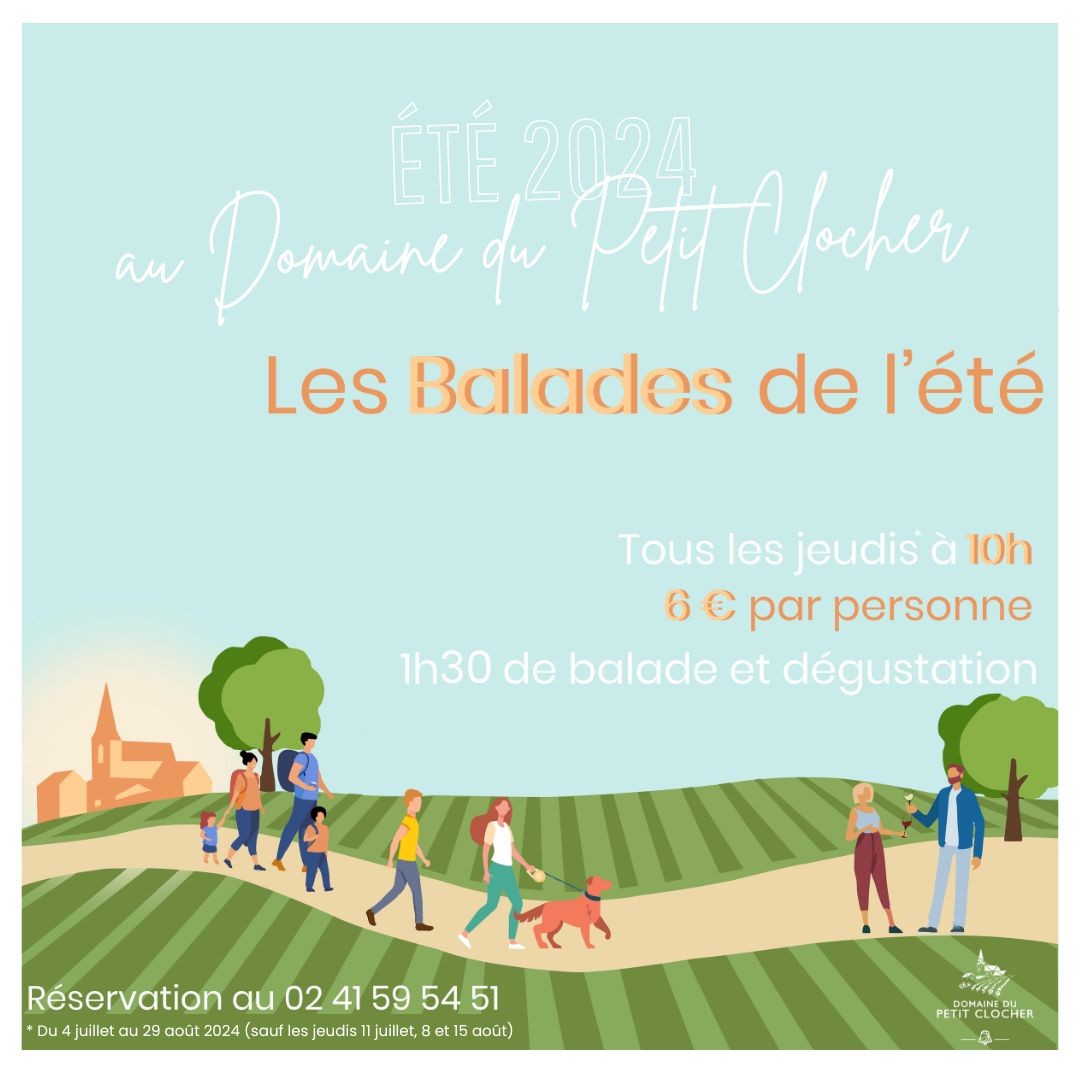 Les "Balades de l'été" : le retour Domaine du Petit Clocher